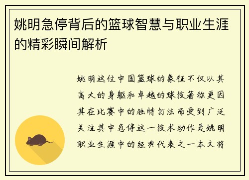 姚明急停背后的篮球智慧与职业生涯的精彩瞬间解析